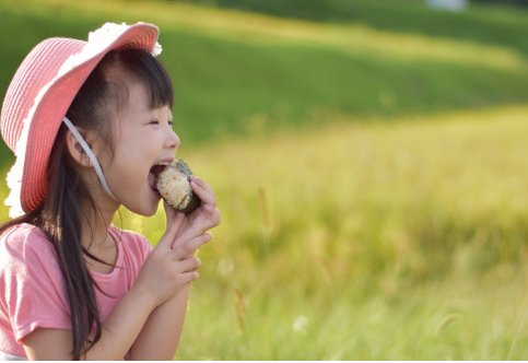 給食